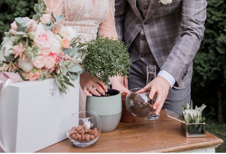 Frisch gepflanzter Baum bei Hochzeit